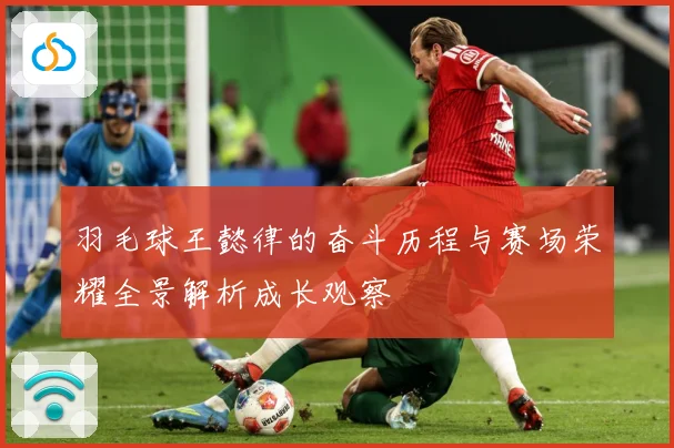 羽毛球王懿律的奋斗历程与赛场荣耀全景解析成长观察