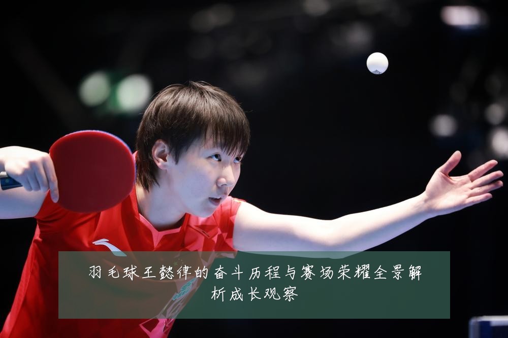 羽毛球王懿律的奋斗历程与赛场荣耀全景解析成长观察